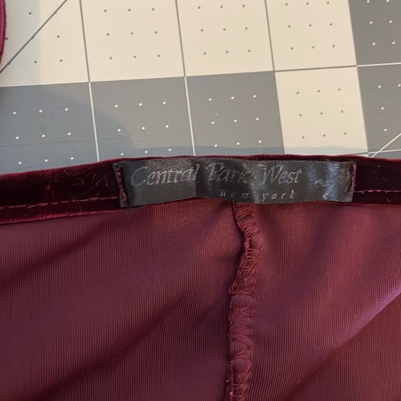 Velvet burgundy mini dress. - Picture 5 of 9